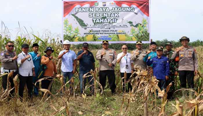Panen Raya Jagung Serentak Tahap II Digelar di Dumai, Kapolres: Ini Bukti Nyata Program Ketahanan Pangan Polri