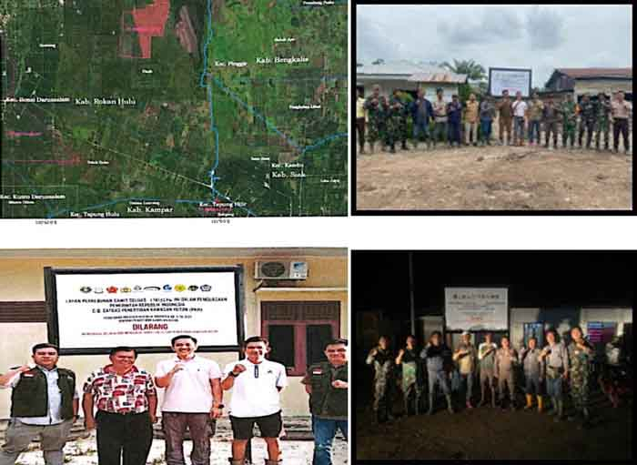 PETIR Apresiasi Satgas PKH, Laporan Dua Kebun Sawit PT Berkat Satu dan PT APSL Disita