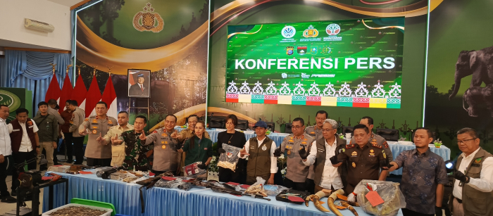 15 Tersangka Ditangkap, Polda Riau Ungkap Pembunuhan Gajah Sumatera di Pelalawan