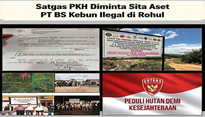 LSM Desak Satgas PKH Sita Aset PT Berkat Satu atas Kasus Lahan Ilegal di Rohul