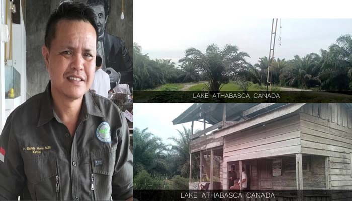 INPEST Ungkap Dugaan Perkebunan Sawit Ilegal di Kawasan Hutan Indragiri Hilir