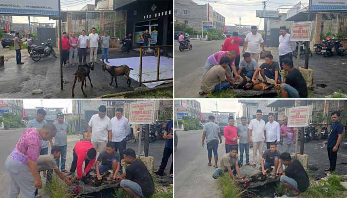 DPD Projo Riau Gelar Pemotongan Hewan Kurban Sambut Iduladha 1446 H