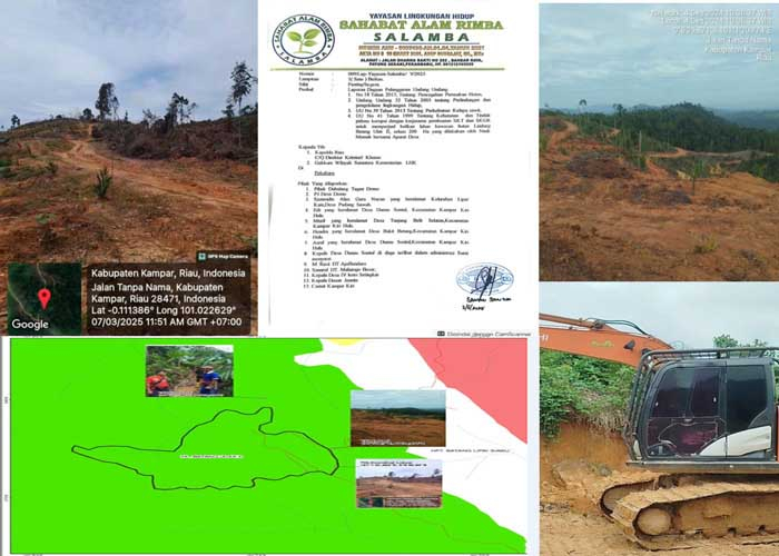 Hutan Lindung Batang Ulak II Dirusak, SALAMBA Desak Polda Riau Usut Perdagangan Ilegal Lahan