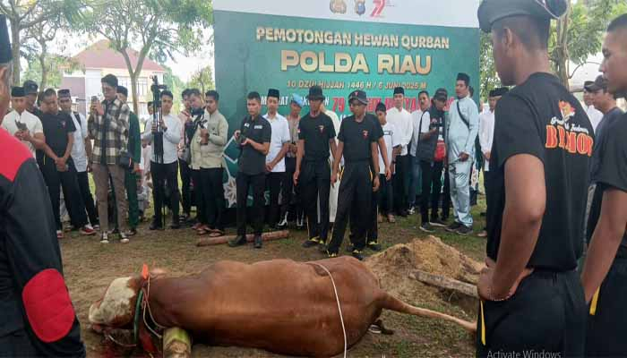 Kapolda Riau Lepas Ratusan Hewan Kurban untuk Disalurkan ke Masjid dan Ponpes